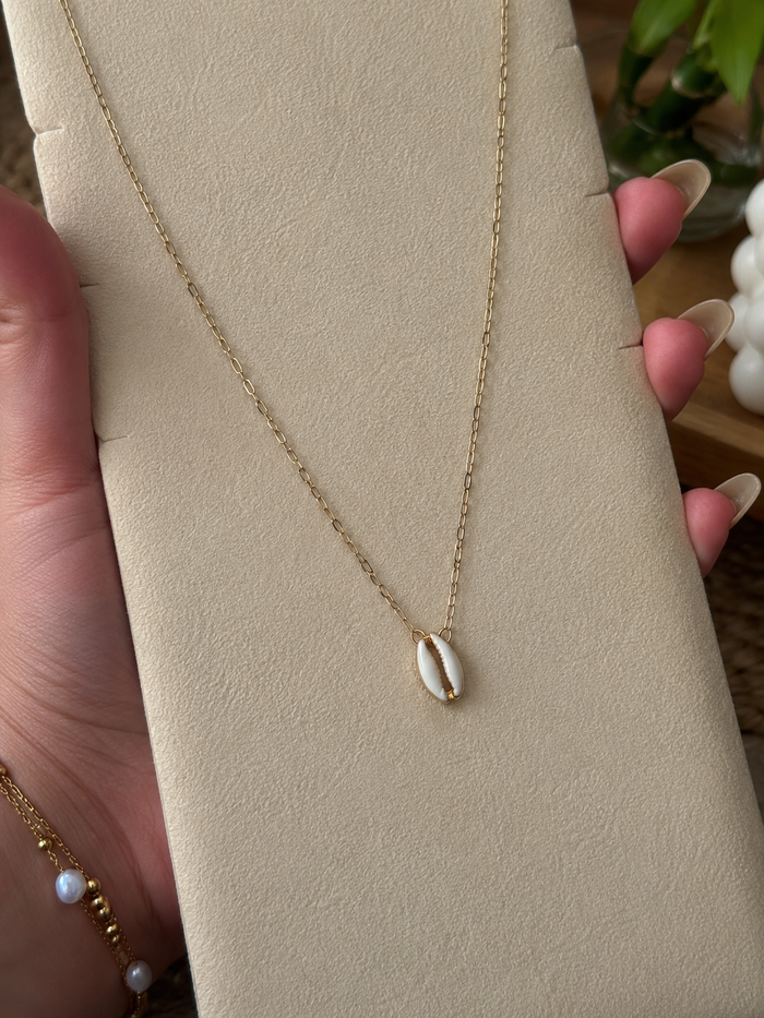 Dainty Gold Cowrie Shell Pendant Necklace